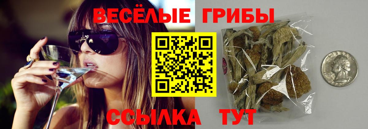 Псилоцибиновые грибы Magic Shrooms  Вход с VPN  Сунжа 